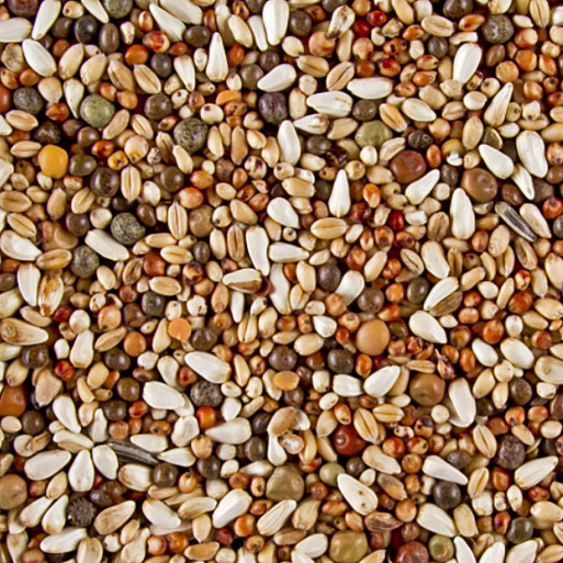 Deli Nature Dovix - Short Beak (5kg) Deli Nature Dovix - Short Beak (5kg)