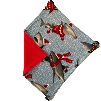 Flat Hammock XL - Cold Snap