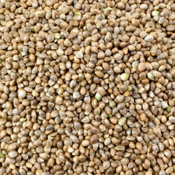 Hempseed 200g