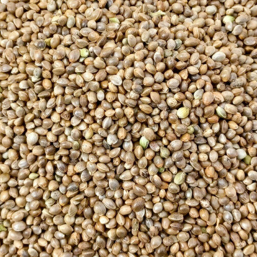 Hempseed 200g